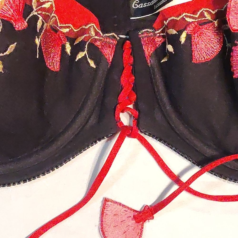 Cassandra Intimate Embroidered Bra 38D - Picture 2 of 9